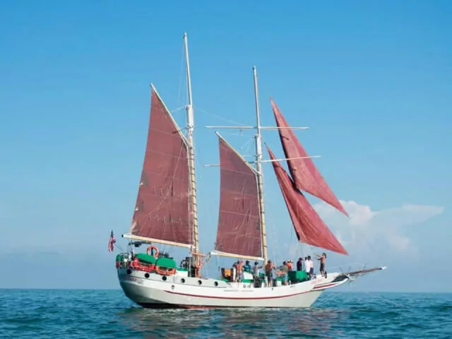 schooner wonder image 3